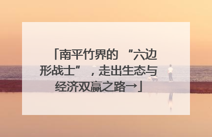 南平竹界的 “六边形战士”，走出生态与经济双赢之路→