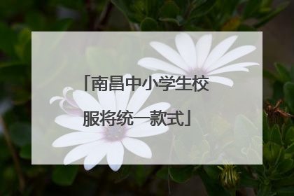 南昌中小学生校服将统一款式