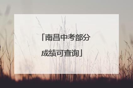 南昌中考部分成绩可查询