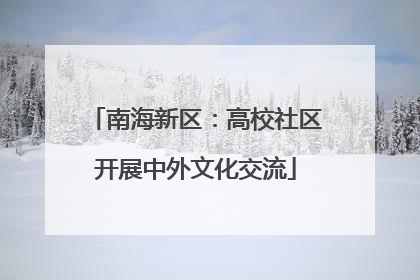南海新区：高校社区开展中外文化交流