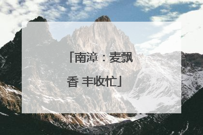 南漳：麦飘香 丰收忙