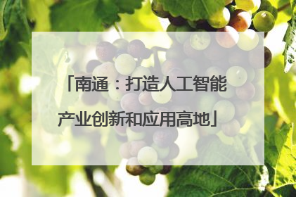 南通：打造人工智能产业创新和应用高地