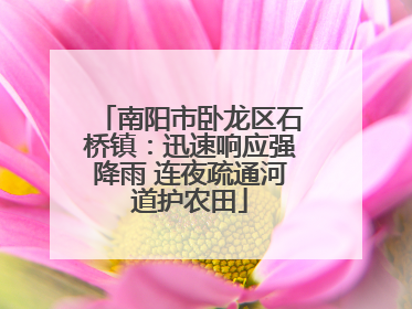 南阳市卧龙区石桥镇：迅速响应强降雨 连夜疏通河道护农田