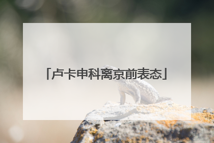 卢卡申科离京前表态