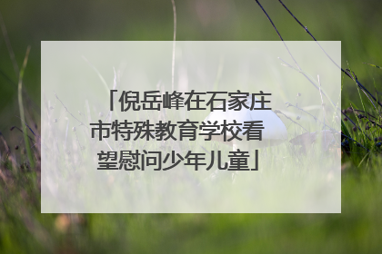 倪岳峰在石家庄市特殊教育学校看望慰问少年儿童