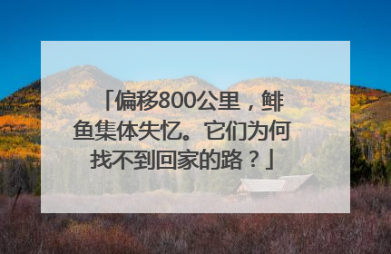 偏移800公里，鲱鱼集体失忆。它们为何找不到回家的路？