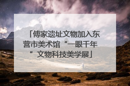 傅家遗址文物加入东营市美术馆“一眼千年”文物科技美学展