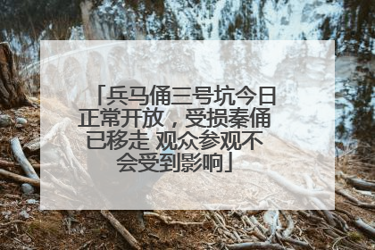 兵马俑三号坑今日正常开放，受损秦俑已移走 观众参观不会受到影响