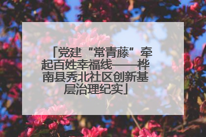 党建“常青藤”牵起百姓幸福线——桦南县秀北社区创新基层治理纪实