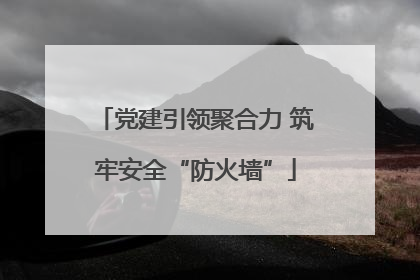 党建引领聚合力 筑牢安全“防火墙”