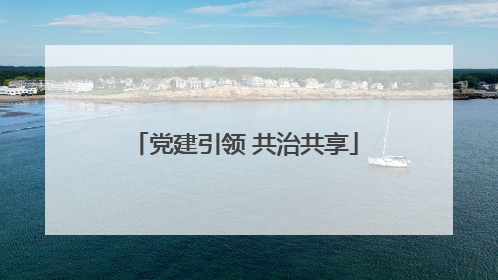 党建引领 共治共享