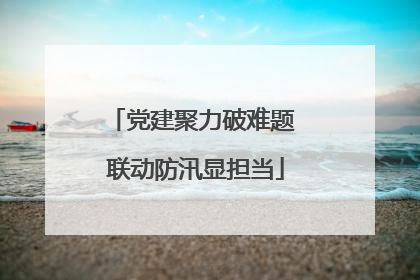 党建聚力破难题 联动防汛显担当