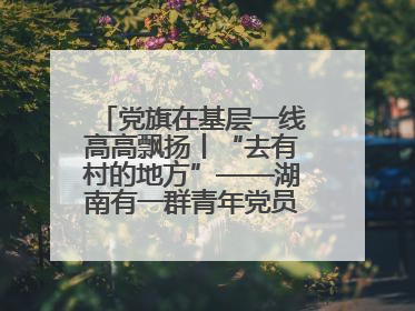 党旗在基层一线高高飘扬丨“去有村的地方”——湖南有一群青年党员这样选择