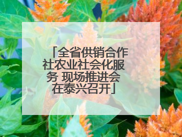 全省供销合作社农业社会化服务 现场推进会在泰兴召开