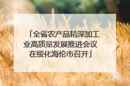 全省农产品精深加工业高质量发展推进会议在绥化海伦市召开