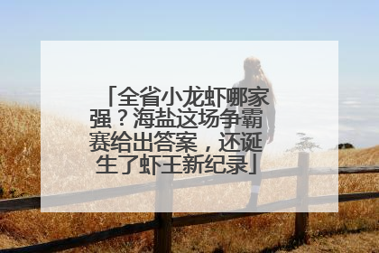 全省小龙虾哪家强？海盐这场争霸赛给出答案，还诞生了虾王新纪录