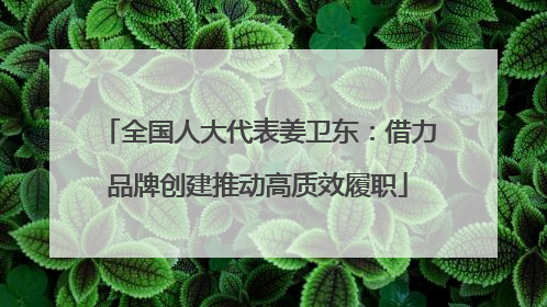 全国人大代表姜卫东：借力品牌创建推动高质效履职