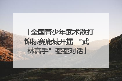 全国青少年武术散打锦标赛鹿城开擂 “武林高手”强强对话