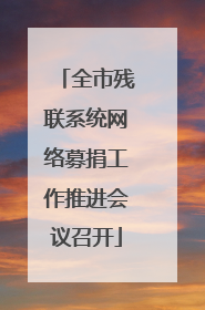 全市残联系统网络募捐工作推进会议召开