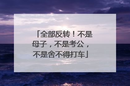 全部反转！不是母子，不是考公，不是舍不得打车