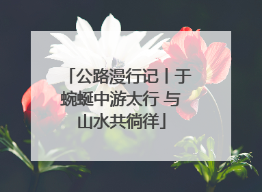 公路漫行记丨于蜿蜒中游太行 与山水共徜徉