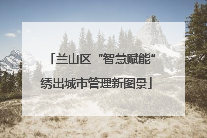兰山区“智慧赋能”绣出城市管理新图景