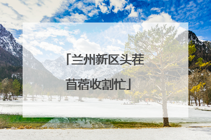 兰州新区头茬苜蓿收割忙