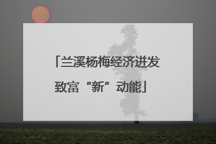 兰溪杨梅经济迸发致富“新”动能