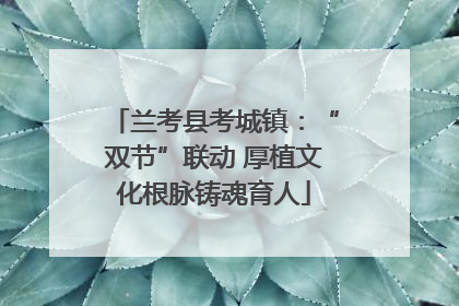兰考县考城镇：“双节”联动 厚植文化根脉铸魂育人