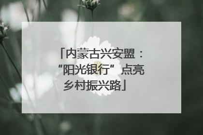 内蒙古兴安盟：“阳光银行”点亮乡村振兴路