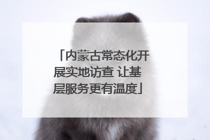内蒙古常态化开展实地访查 让基层服务更有温度