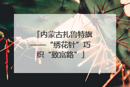 内蒙古扎鲁特旗——“绣花针”巧织“致富路”