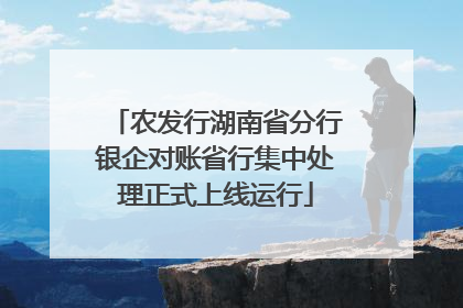 农发行湖南省分行银企对账省行集中处理正式上线运行