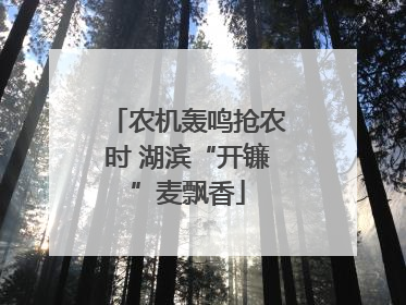 农机轰鸣抢农时 湖滨“开镰”麦飘香