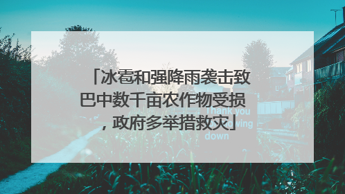 冰雹和强降雨袭击致巴中数千亩农作物受损，政府多举措救灾