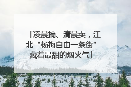 凌晨摘、清晨卖，江北“杨梅自由一条街”藏着最甜的烟火气