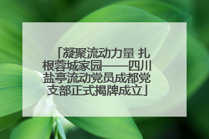 凝聚流动力量 扎根蓉城家园——四川盐亭流动党员成都党支部正式揭牌成立