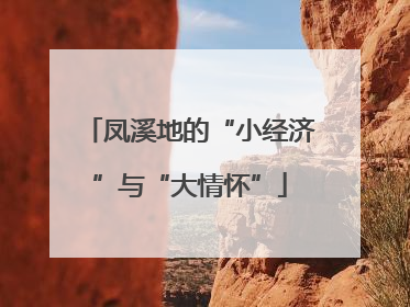 凤溪地的“小经济”与“大情怀”
