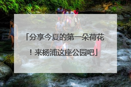 分享今夏的第一朵荷花！来杨浦这座公园吧