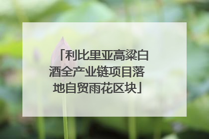 利比里亚高粱白酒全产业链项目落地自贸雨花区块