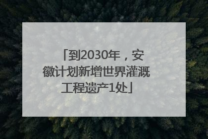 到2030年，安徽计划新增世界灌溉工程遗产1处