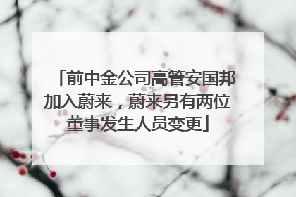 前中金公司高管安国邦加入蔚来，蔚来另有两位董事发生人员变更