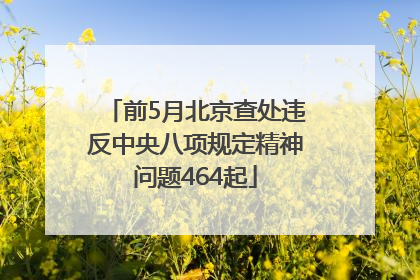 前5月北京查处违反中央八项规定精神问题464起