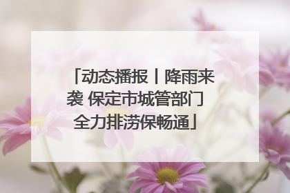 动态播报丨降雨来袭 保定市城管部门全力排涝保畅通
