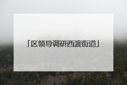区领导调研西渡街道