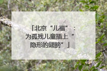 北京“儿福”：为孤残儿童插上“隐形的翅膀”