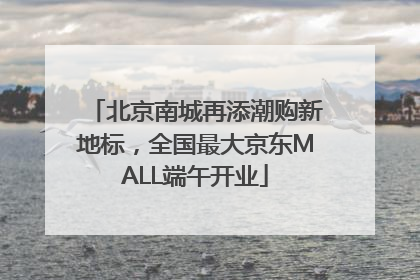 北京南城再添潮购新地标，全国最大京东MALL端午开业