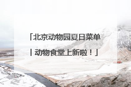 北京动物园夏日菜单丨动物食堂上新啦！