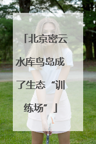 北京密云水库鸟岛成了生态“训练场”