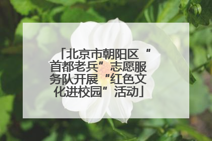 北京市朝阳区“首都老兵”志愿服务队开展“红色文化进校园”活动